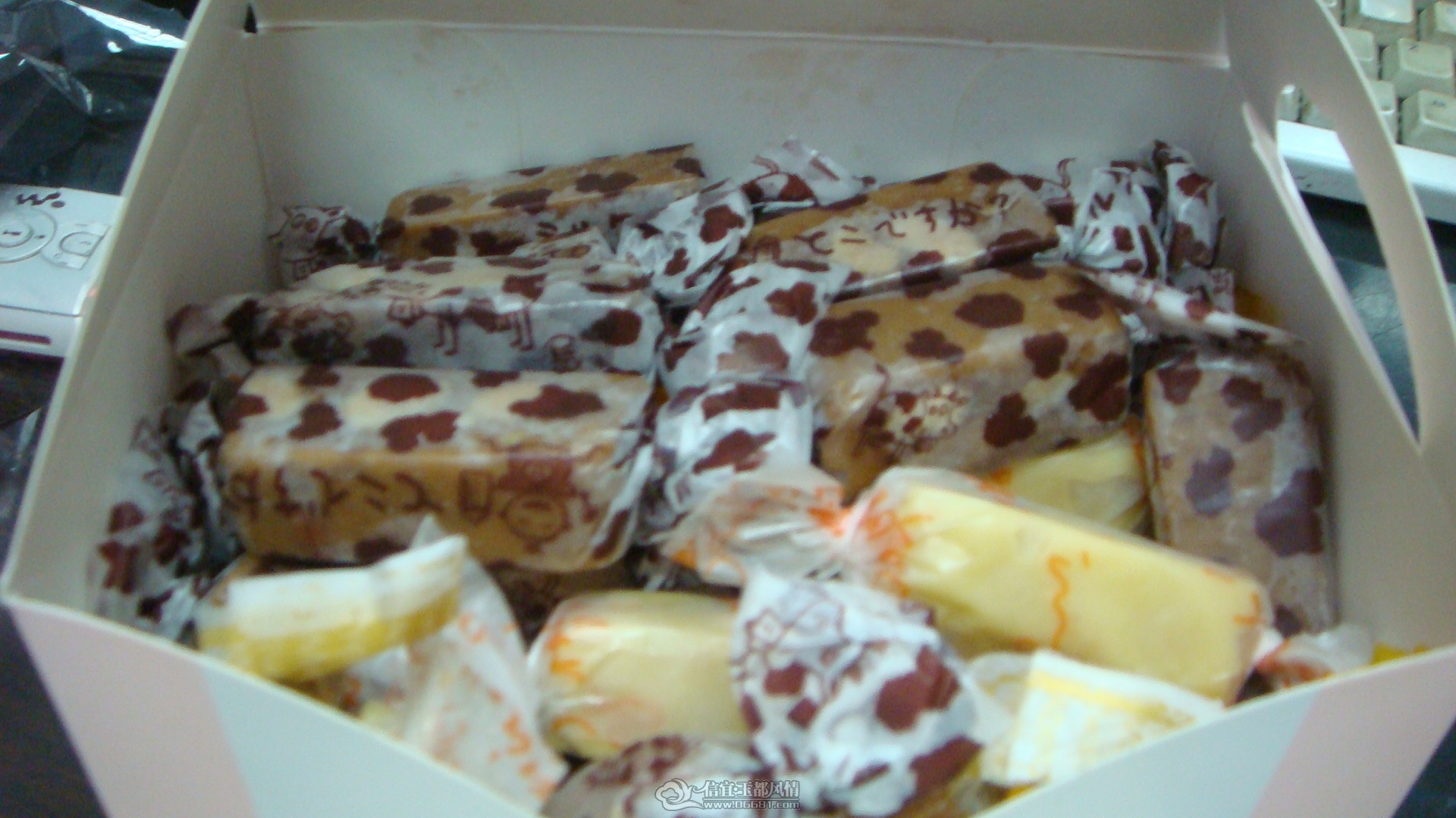 DSC08490.JPG