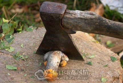 2012022110160437452.jpg