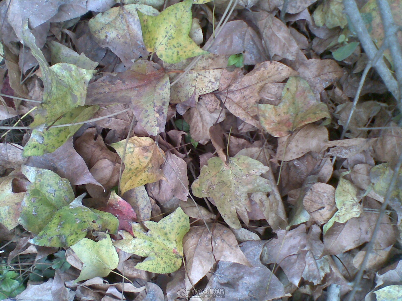 20120130(007).jpg