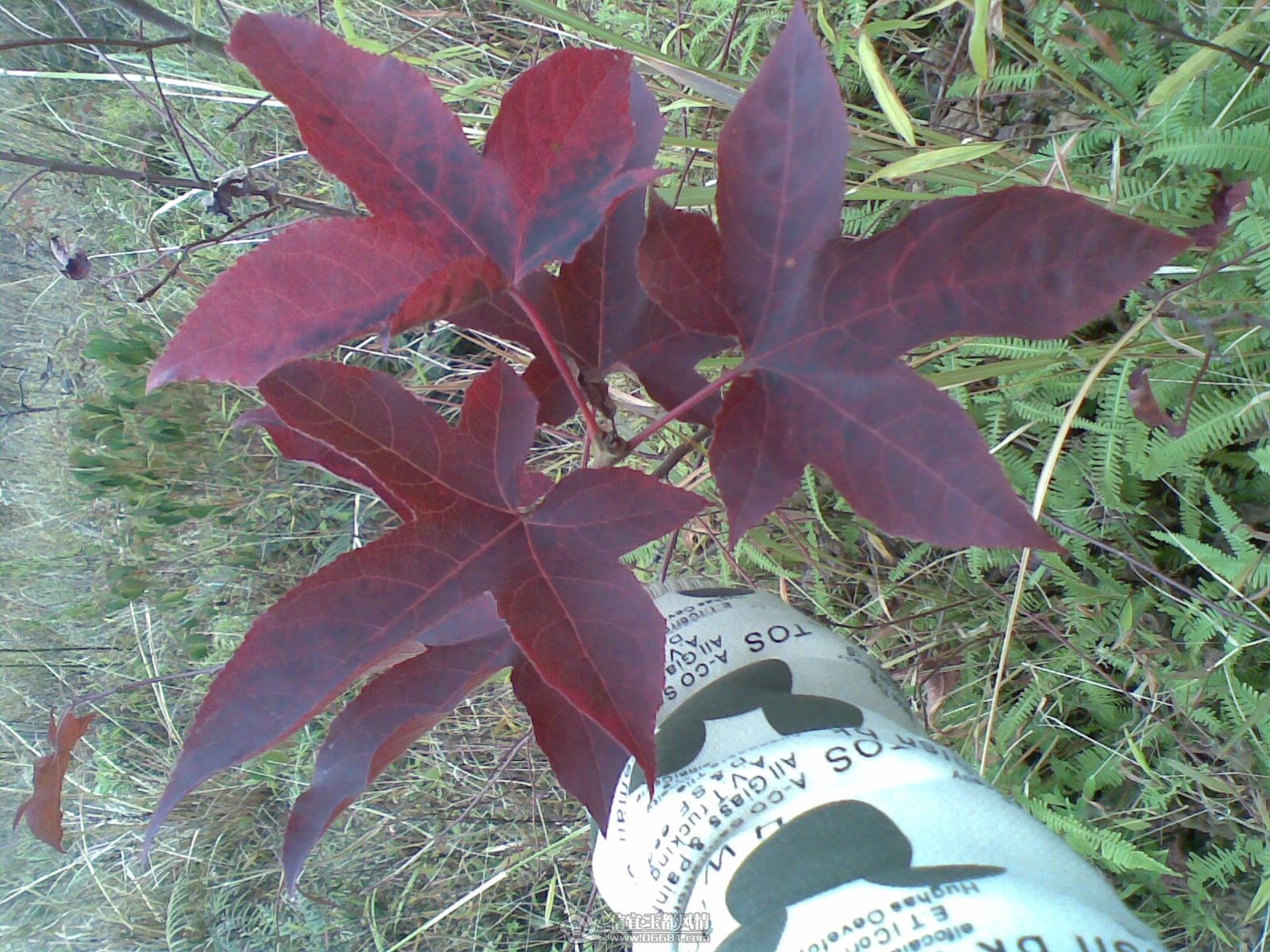 20120130(011).jpg