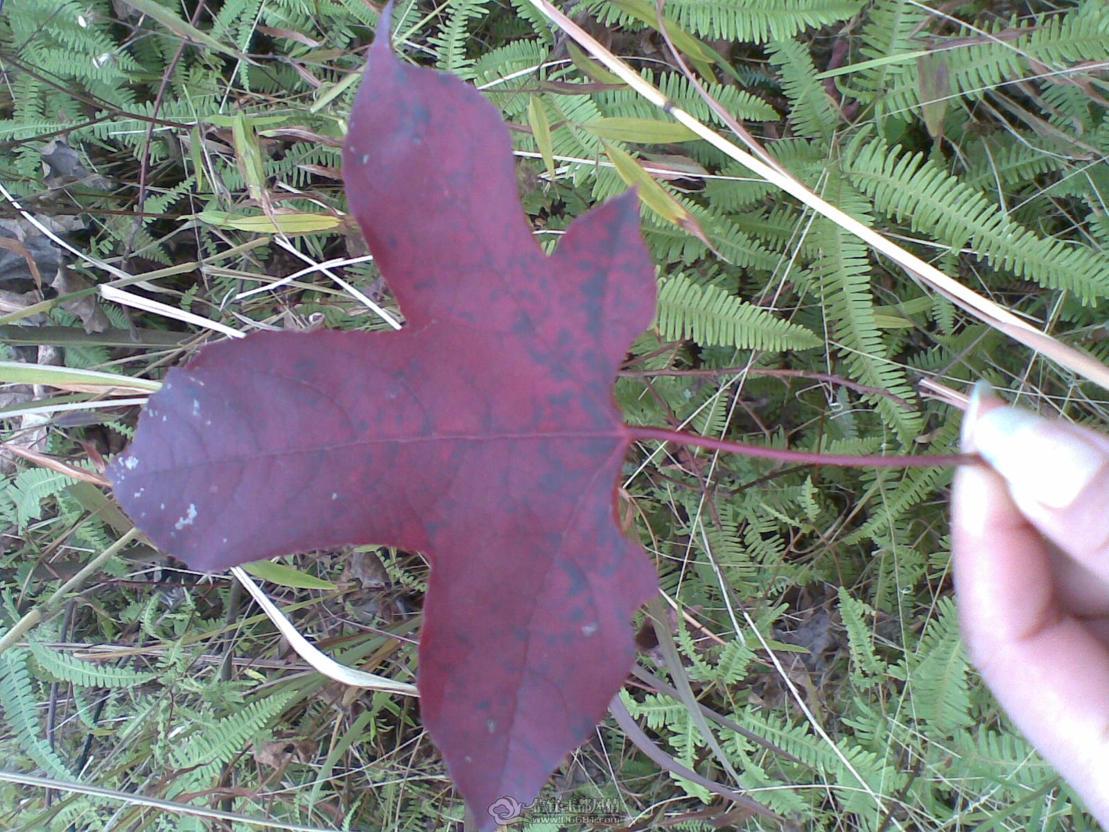 20120130(013).jpg