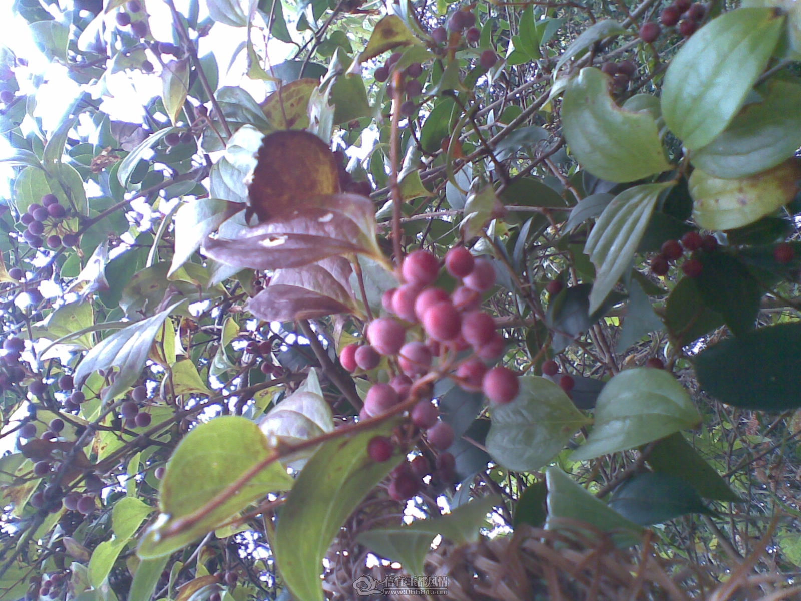 20120130(017).jpg