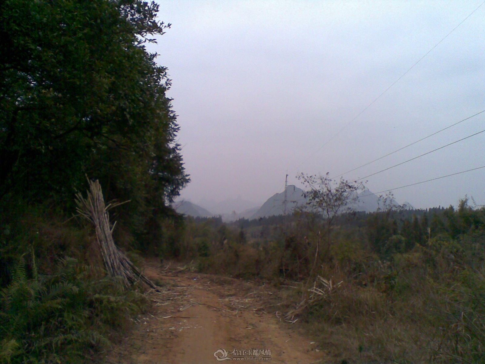 20120131.jpg