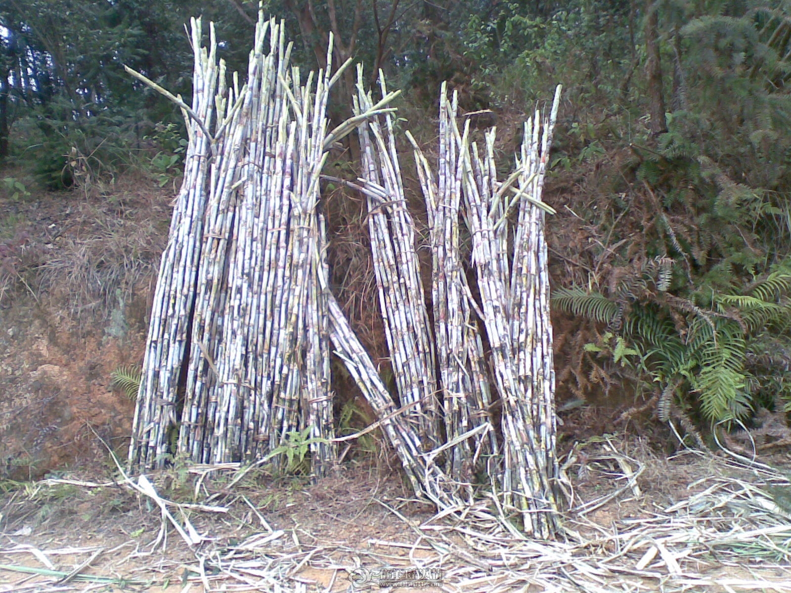 20120131(001).jpg