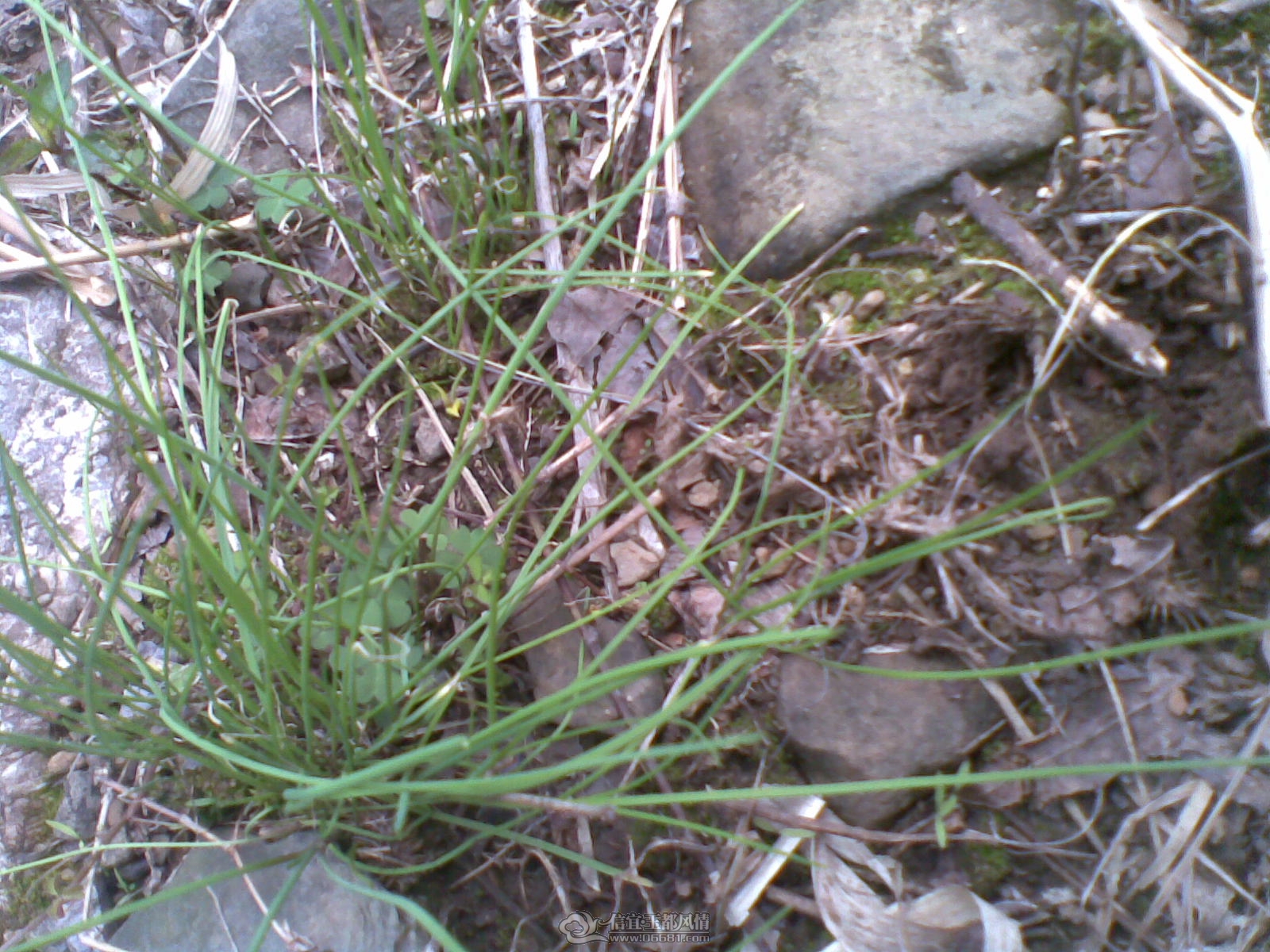 20120131(002).jpg