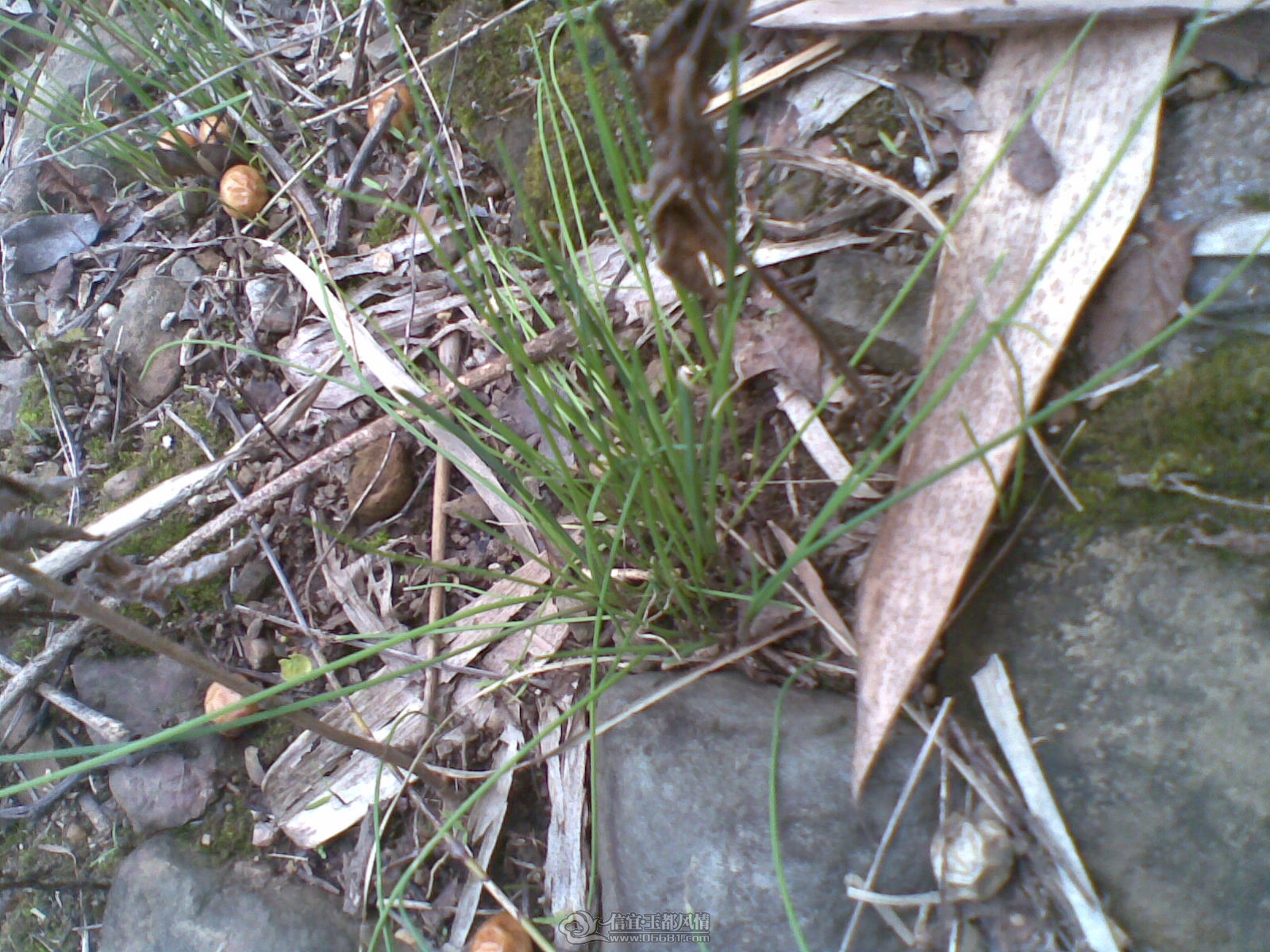 20120131(003).jpg