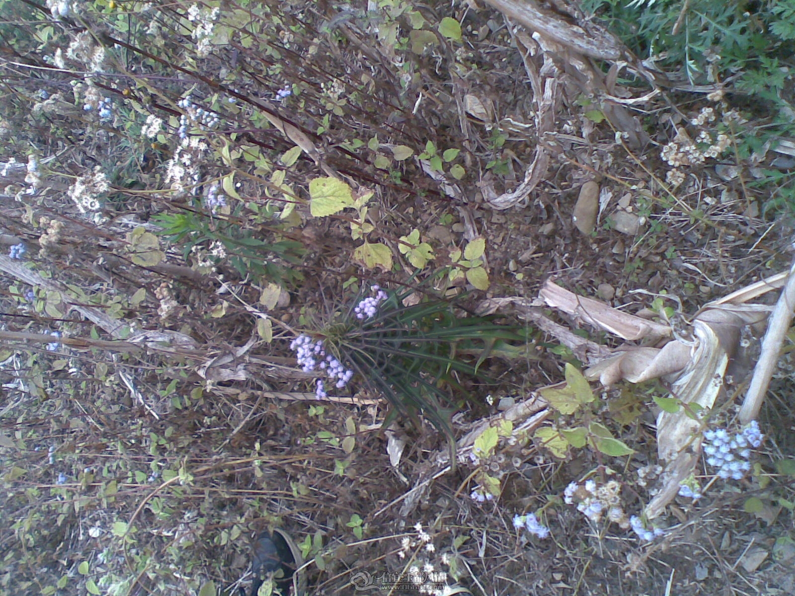 20120131(007).jpg