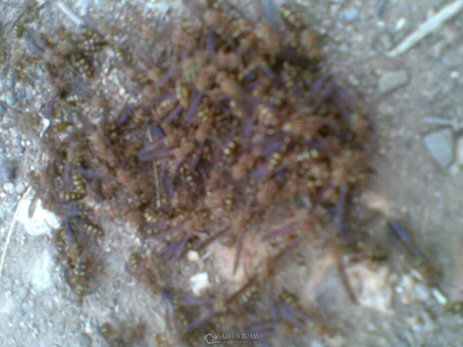 20120131(014).jpg