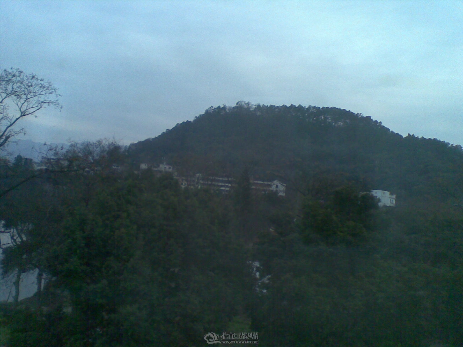 20120203.jpg