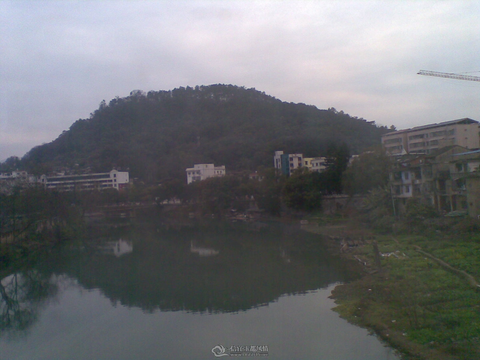 20120203(001).jpg