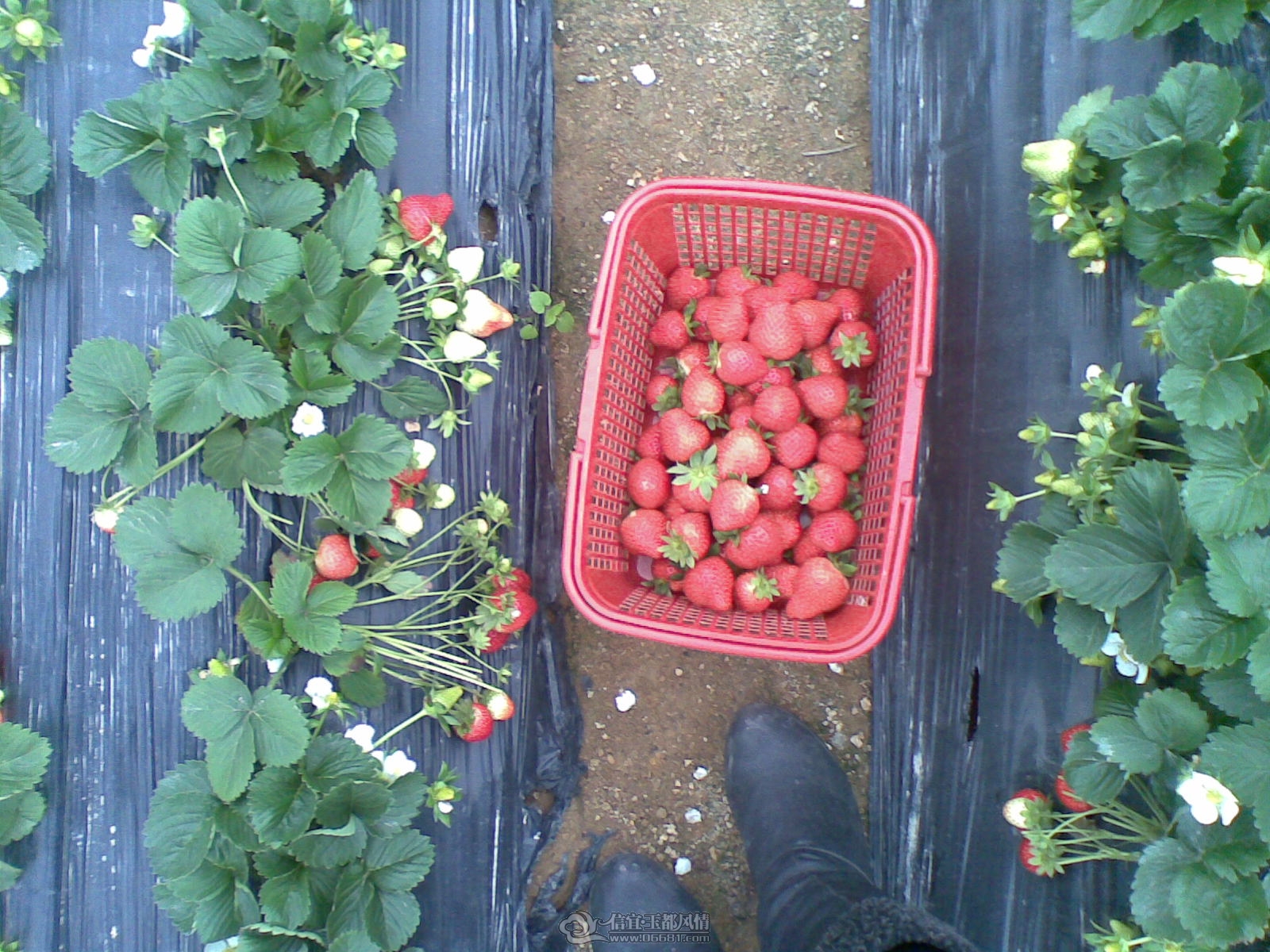 20120208.jpg