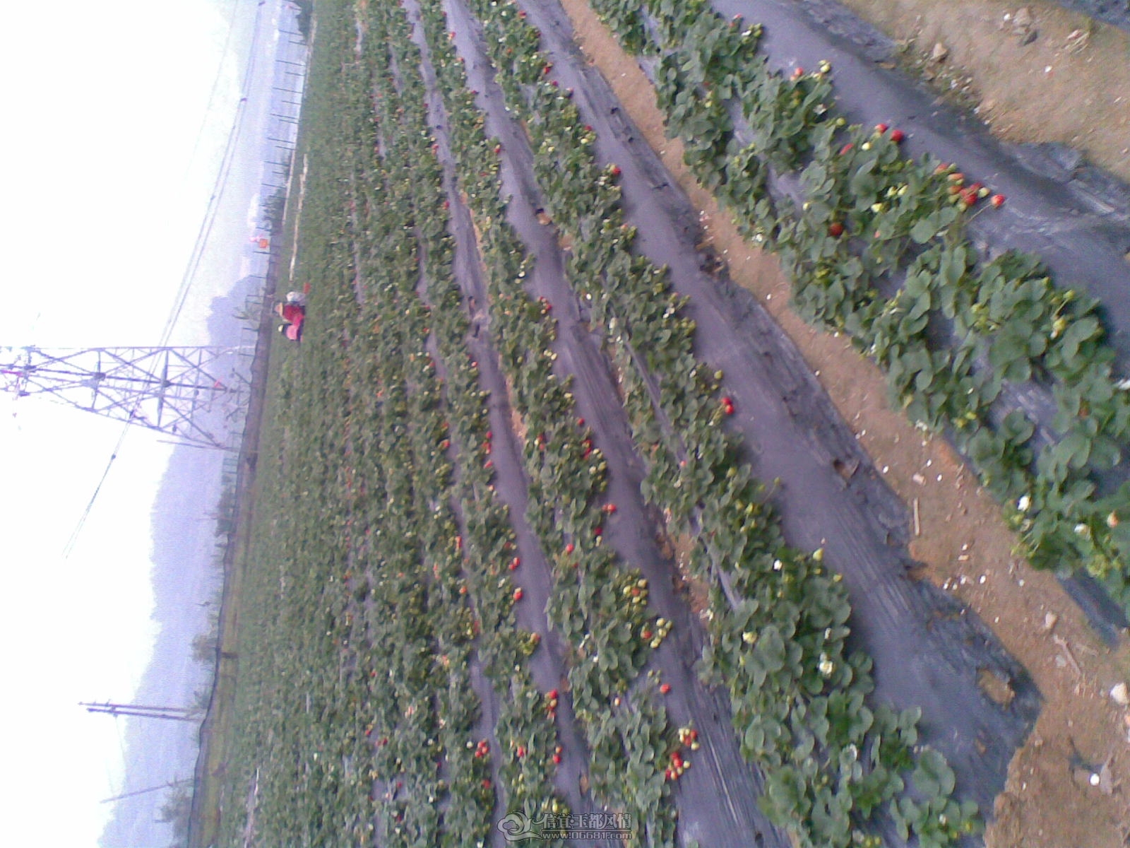 20120208(004).jpg