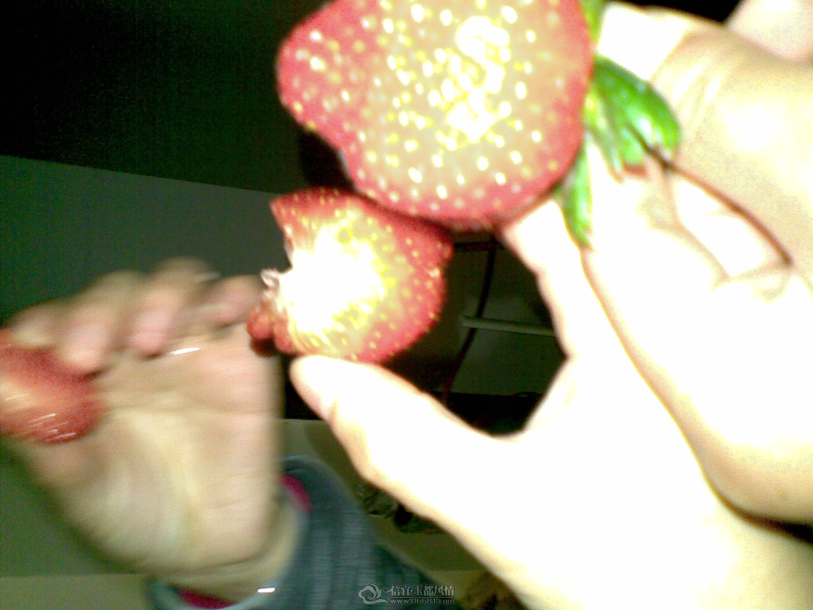 20120208(005).jpg