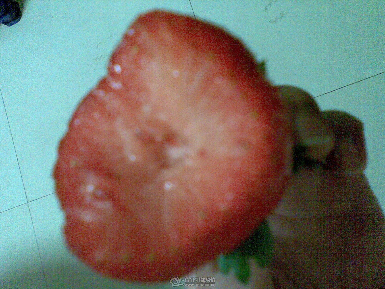 20120208(006).jpg
