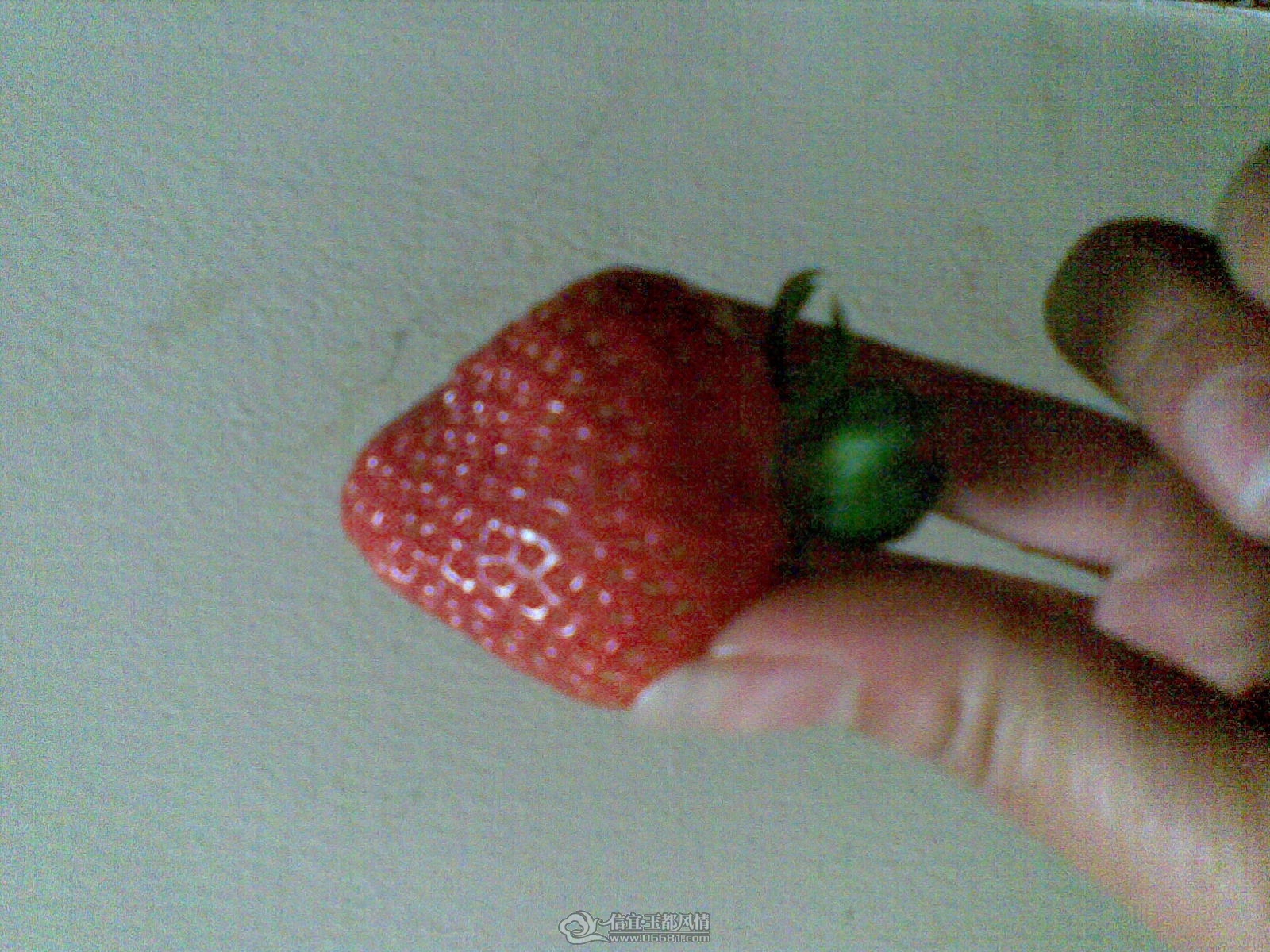 20120208(007).jpg