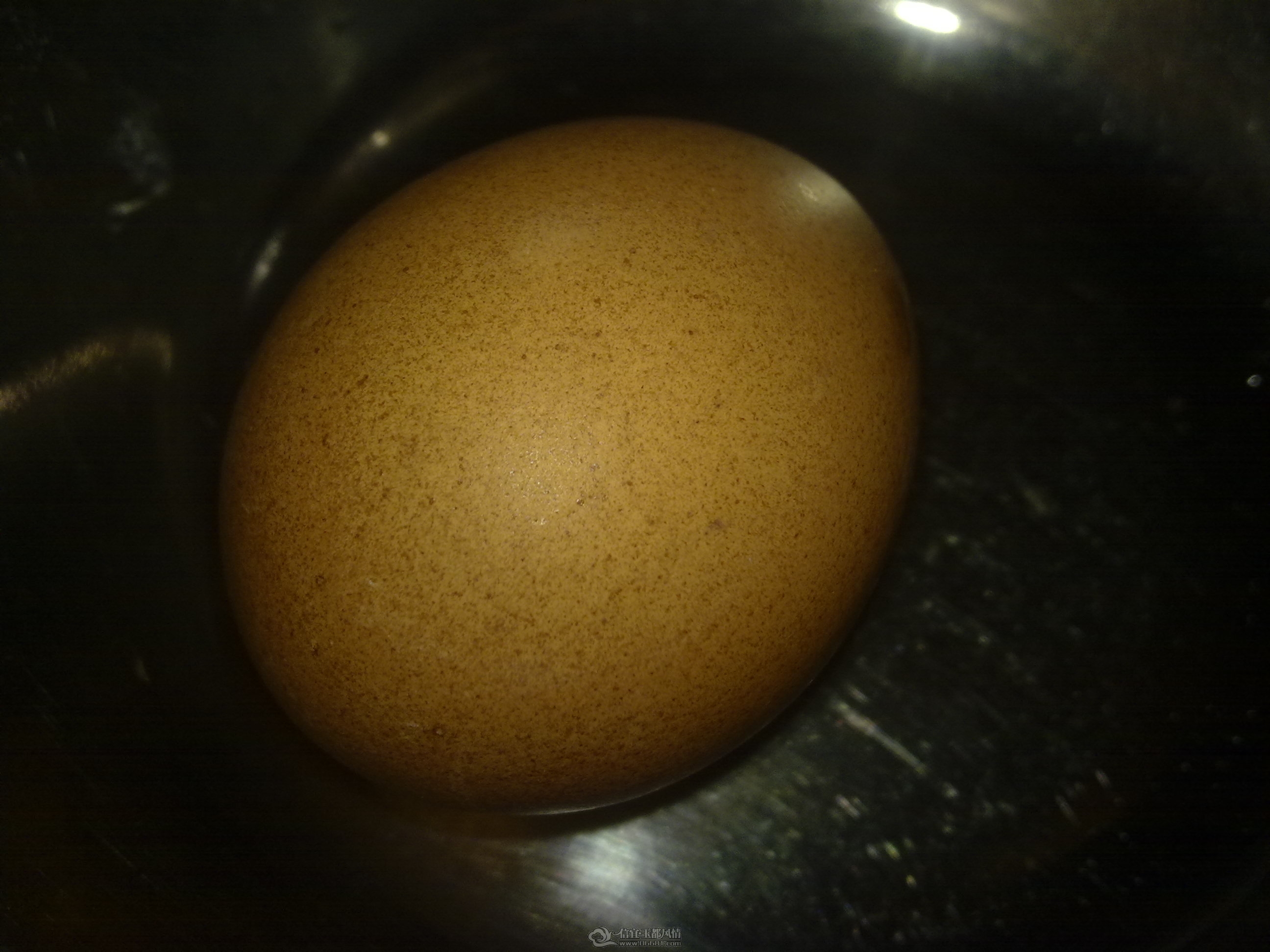 201202241102.jpg