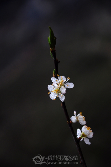 DSC_0152.JPG