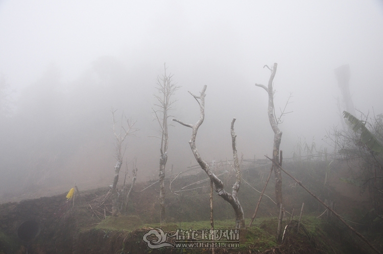 DSC_0186.JPG