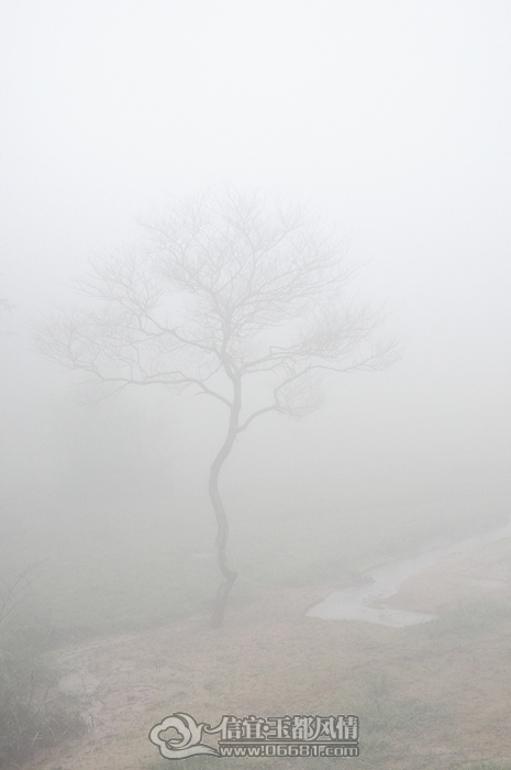 DSC_0196.JPG