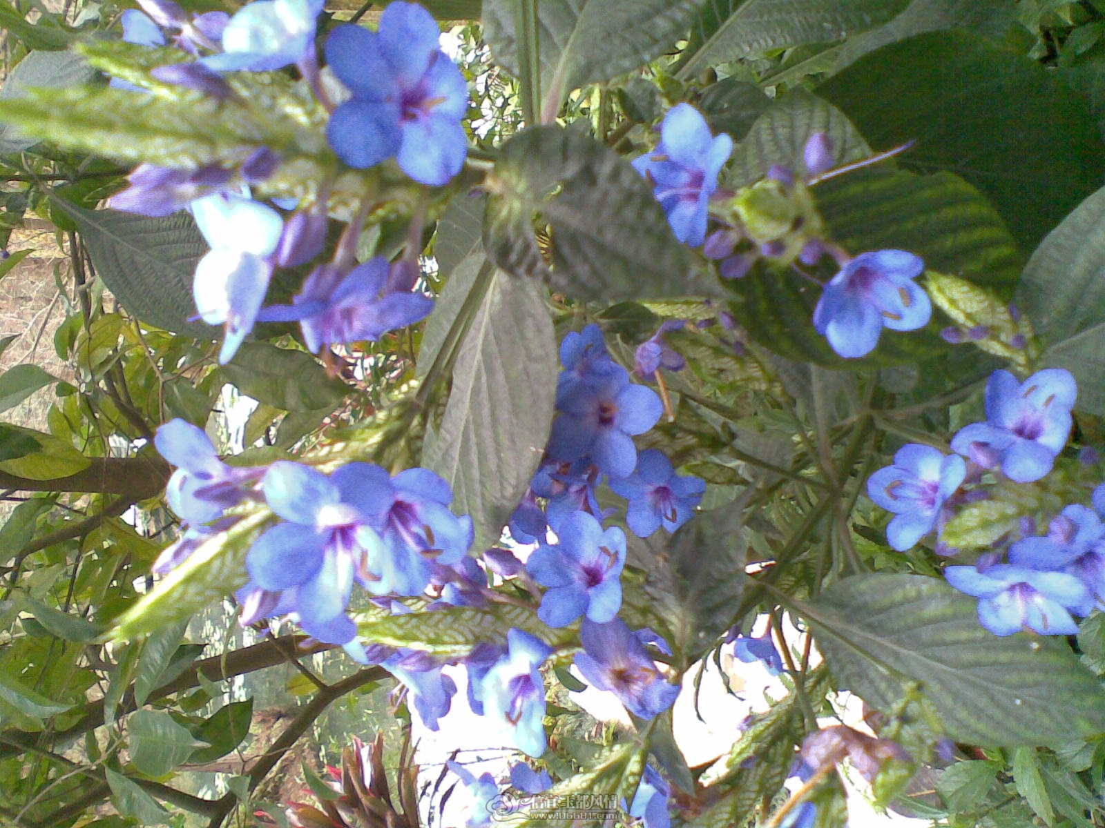 20120226(002).jpg