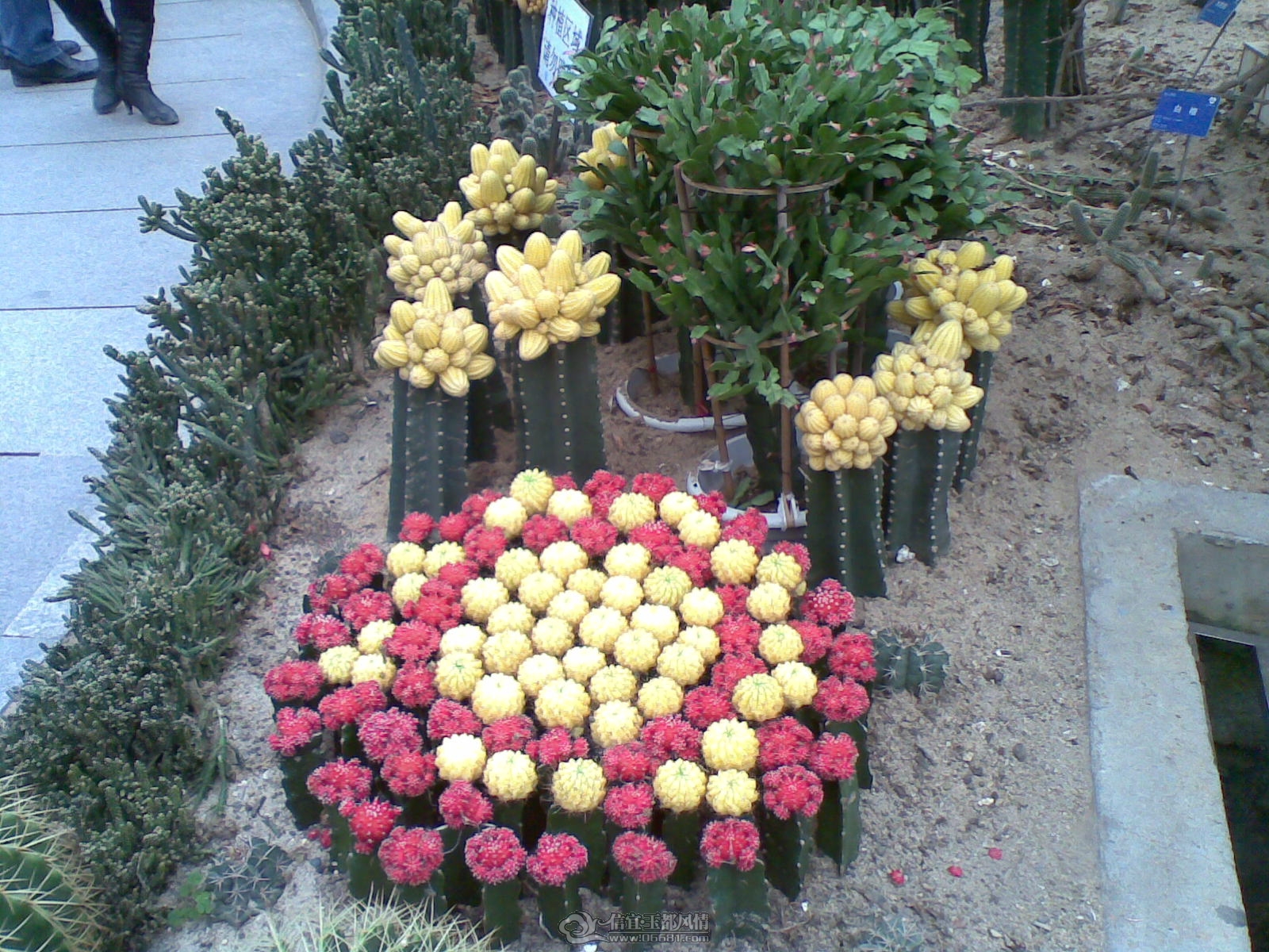 20120226(005).jpg