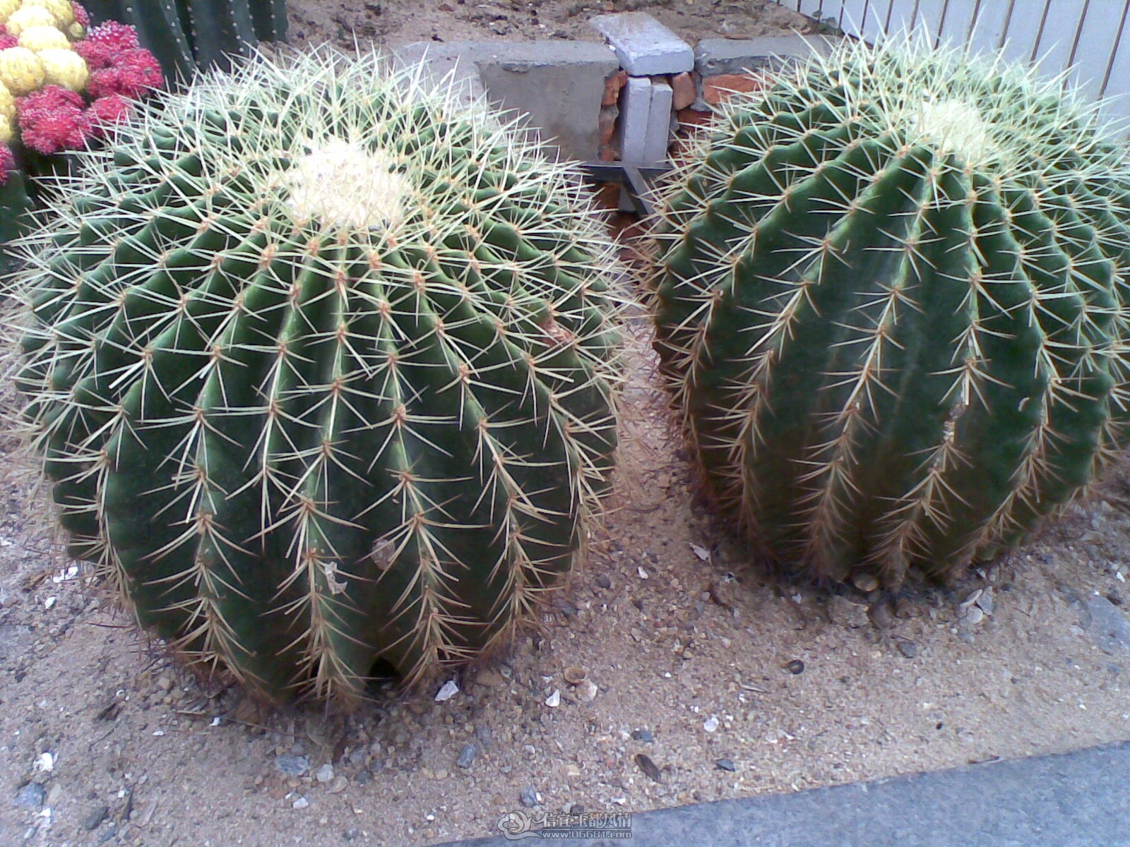 20120226(006).jpg