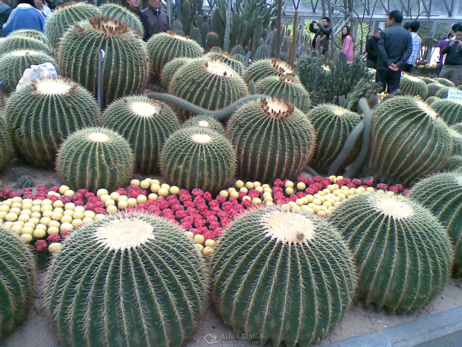 20120226(007).jpg