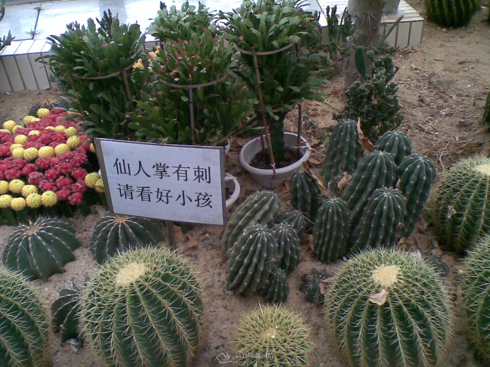 20120226(008).jpg