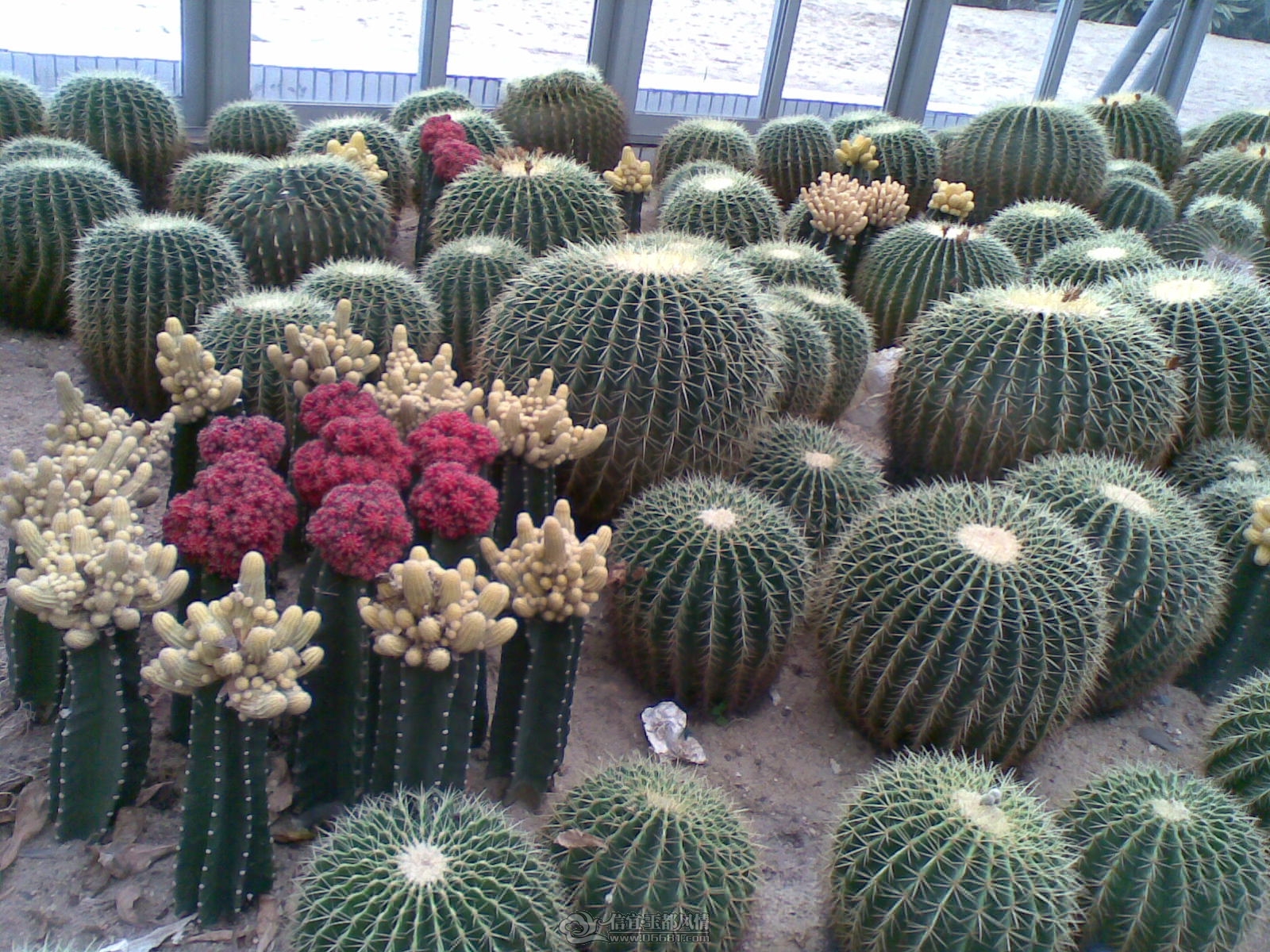 20120226(009).jpg