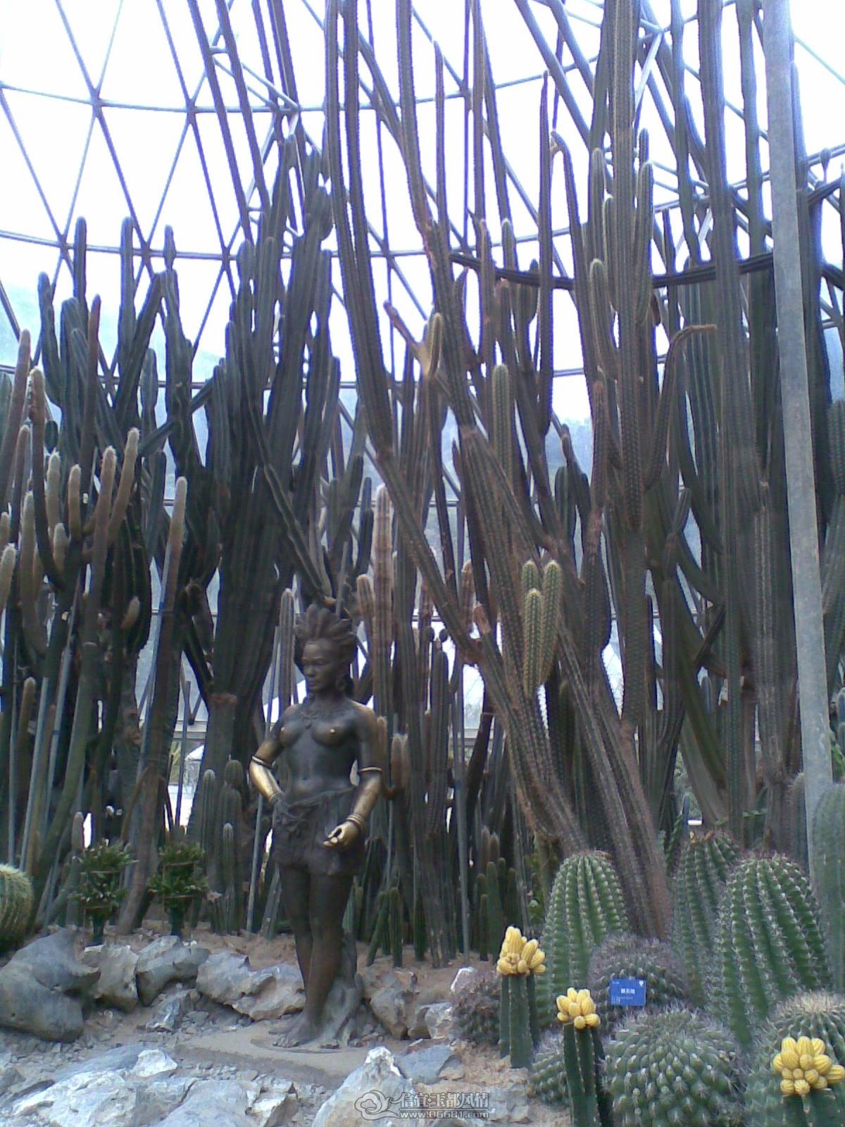 20120226(010).jpg