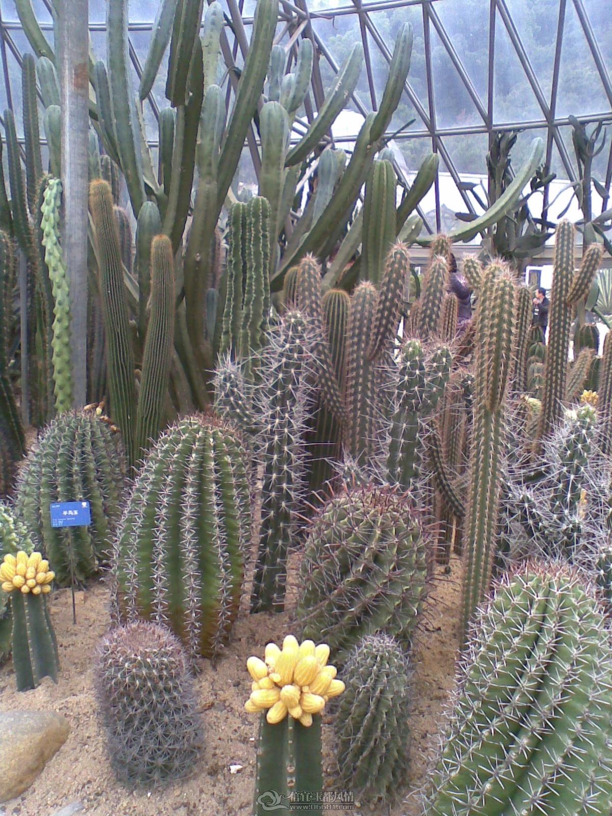 20120226(011).jpg