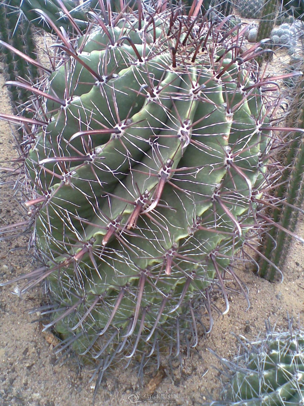 20120226(014).jpg