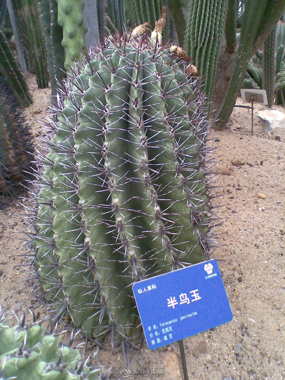 20120226(016).jpg