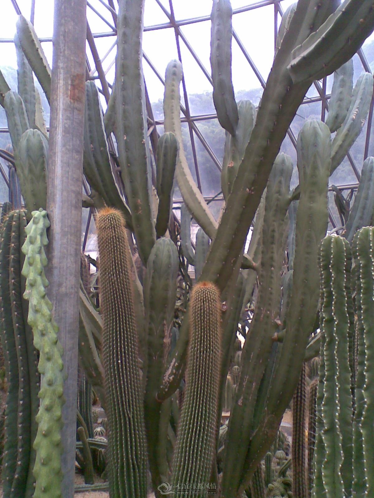 20120226(017).jpg