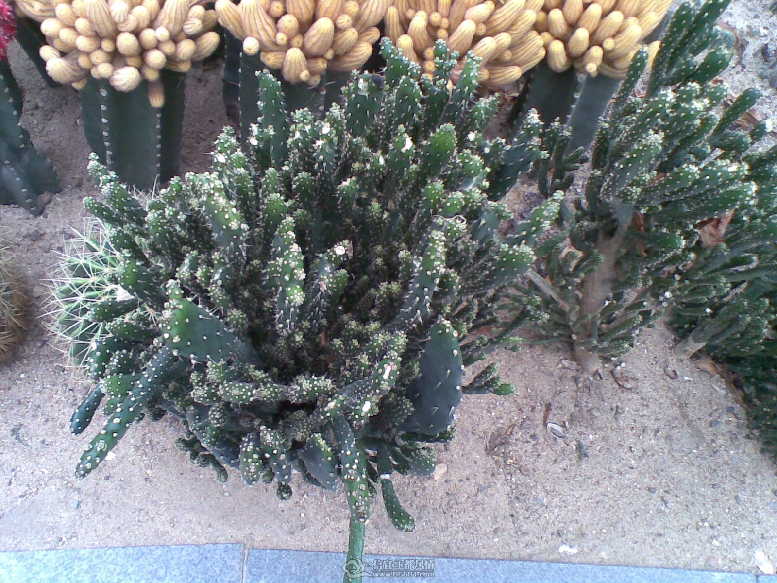 20120226(020).jpg