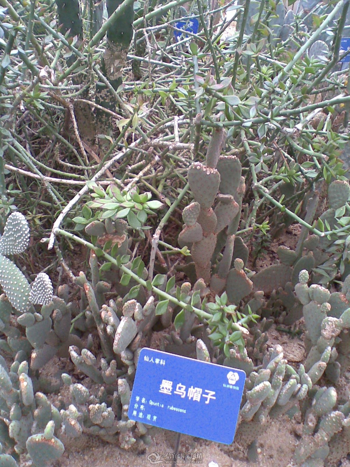 20120226(021).jpg