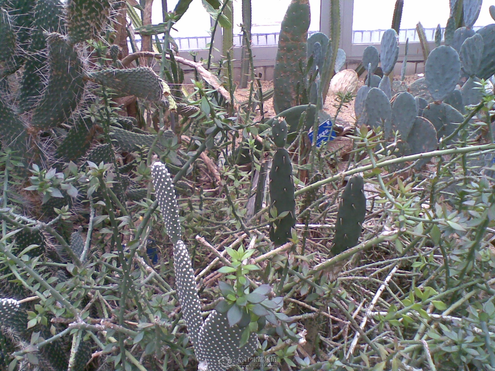 20120226(022).jpg