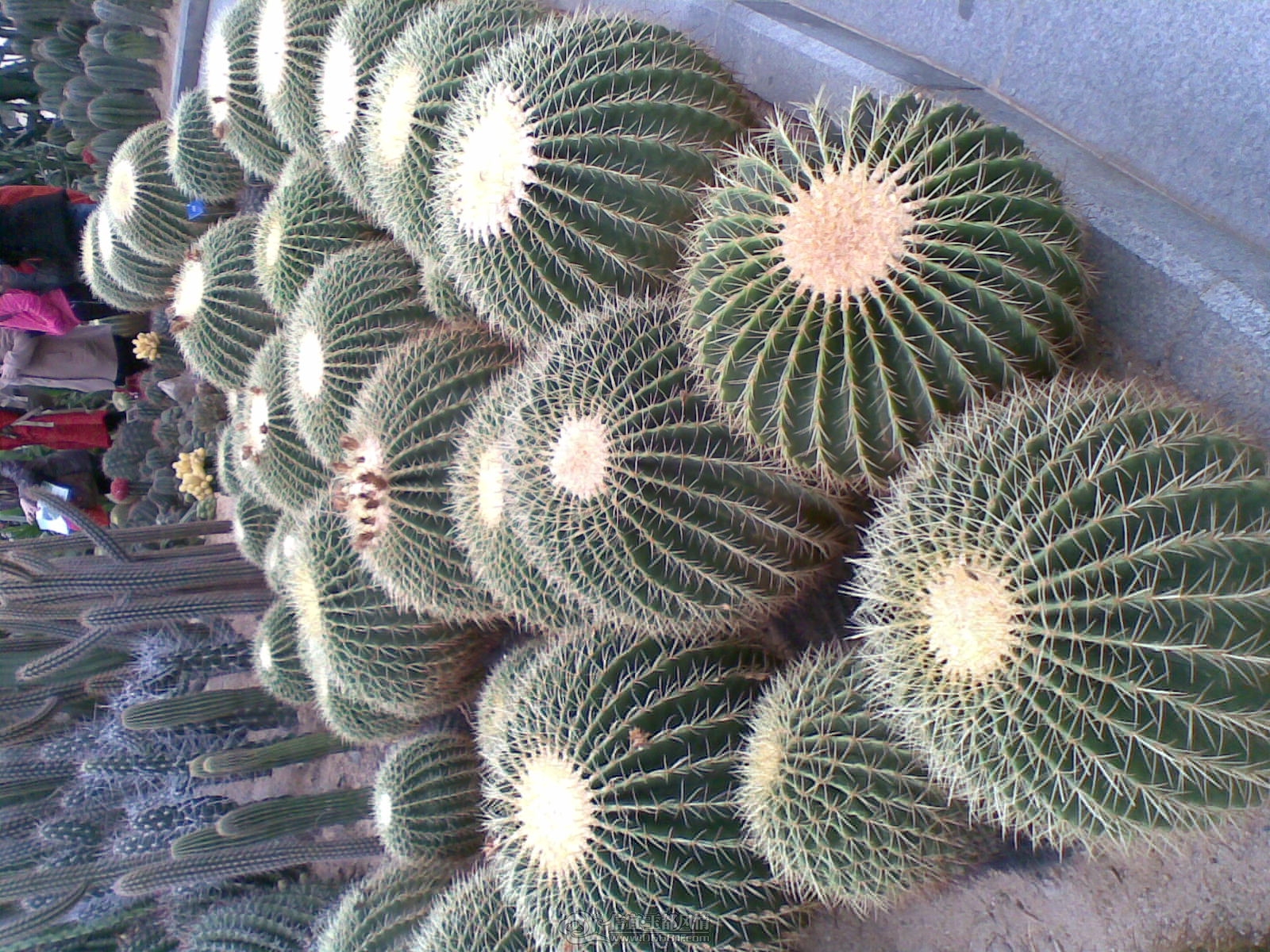 20120226(023).jpg