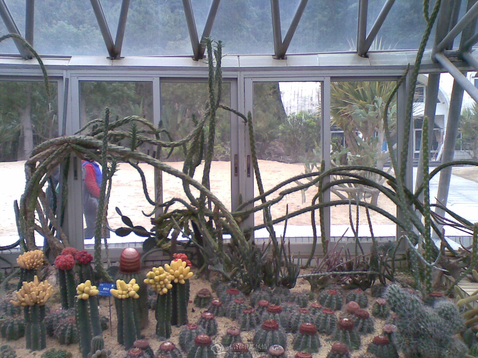 20120226(025).jpg