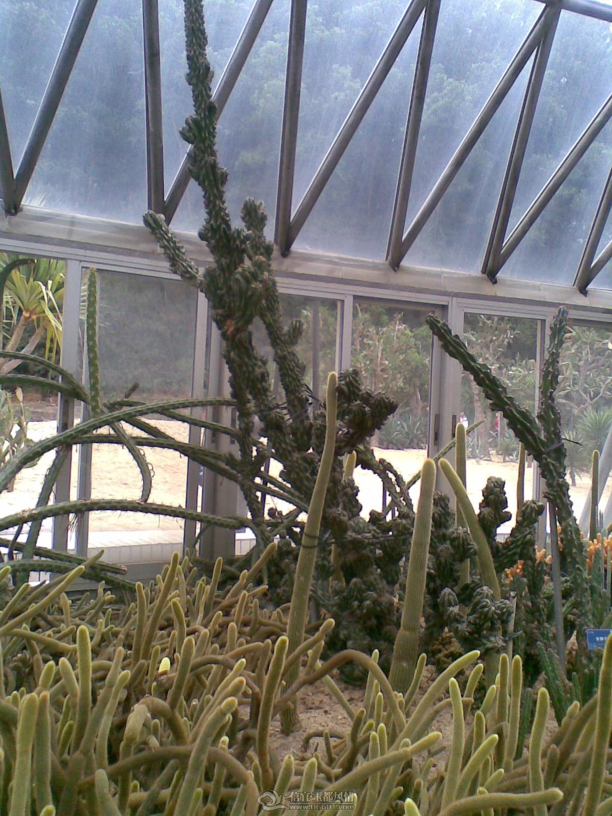 20120226(026).jpg