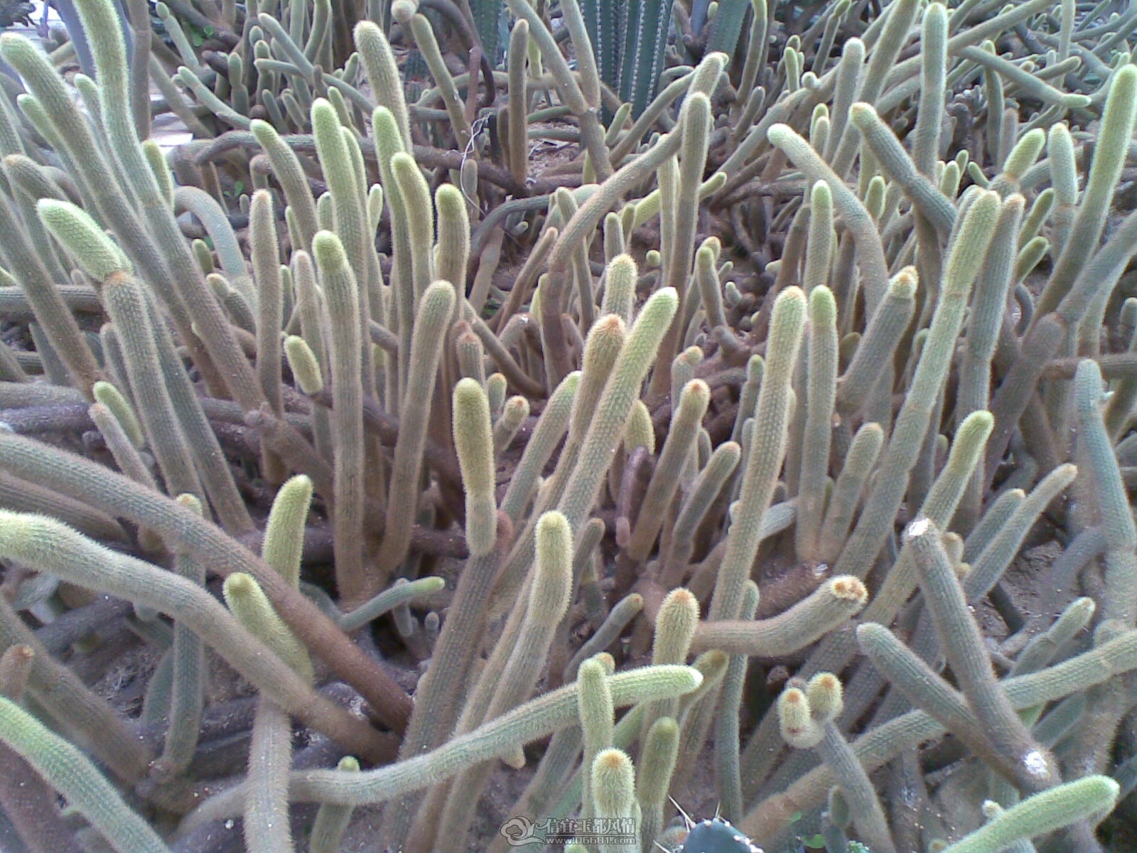 20120226(027).jpg