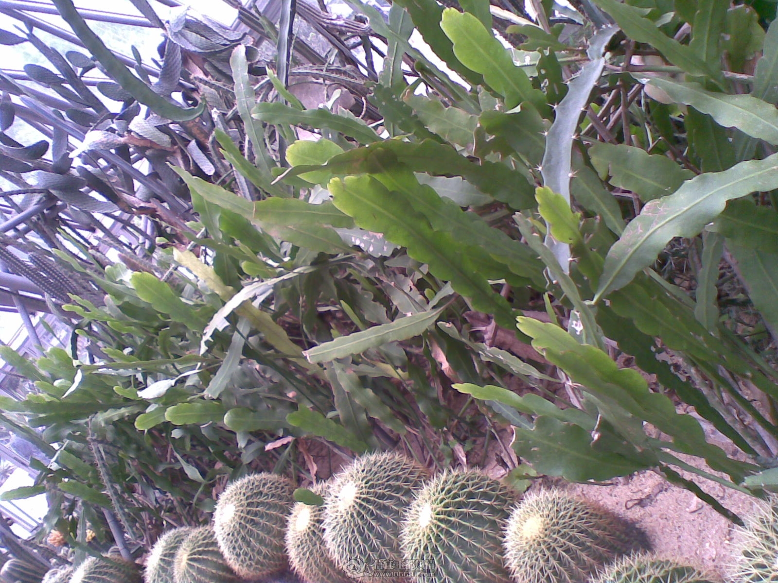 20120226(030).jpg