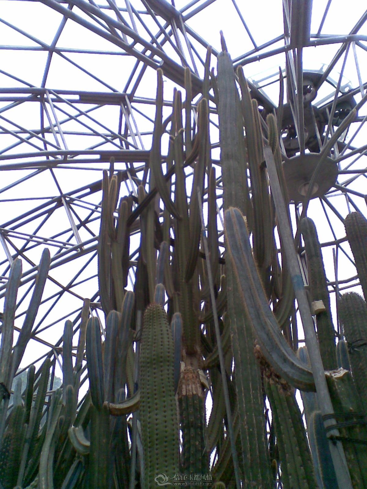 20120226(033).jpg