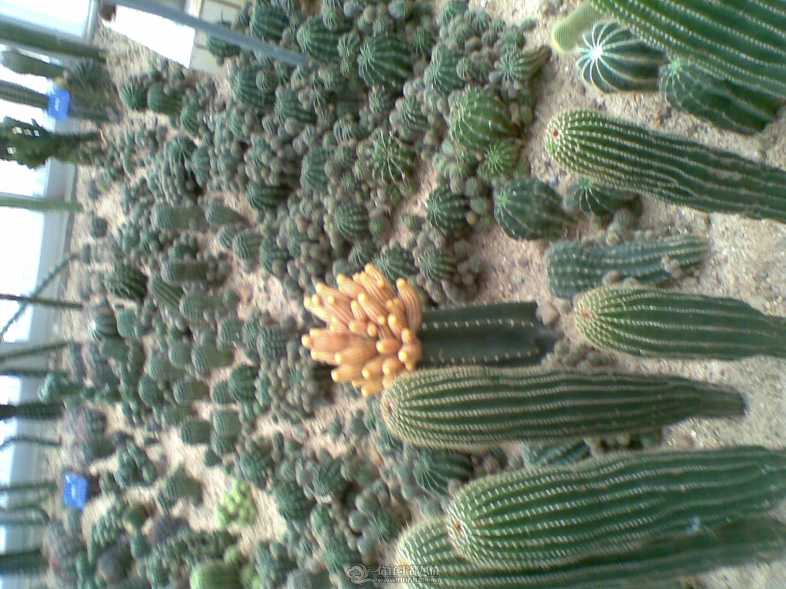 20120226(034).jpg