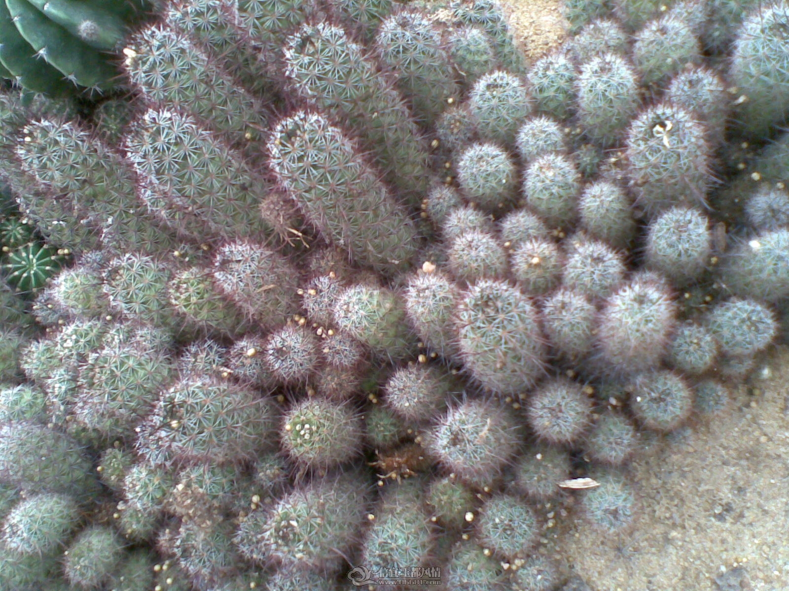 20120226(039).jpg