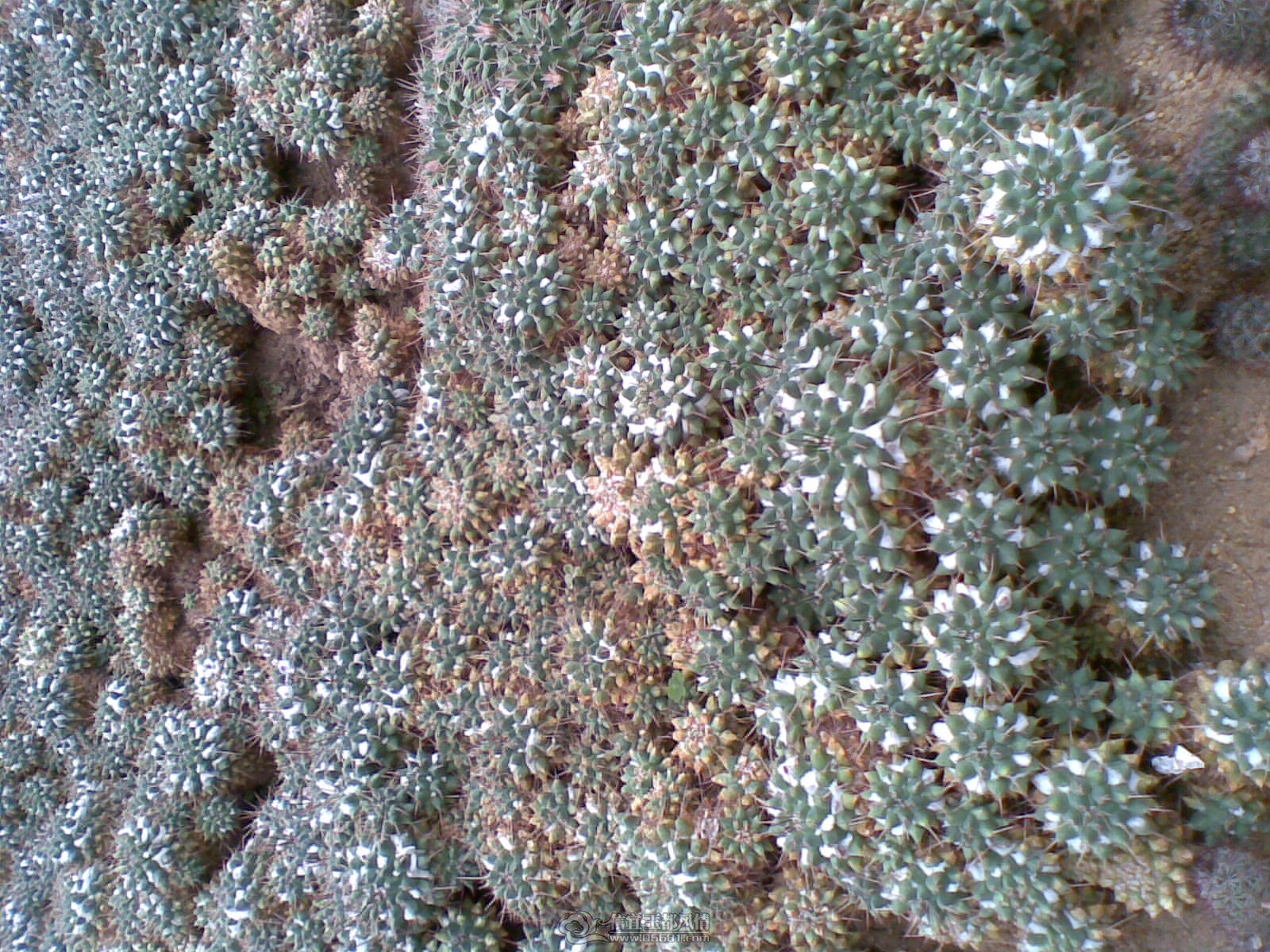 20120226(040).jpg