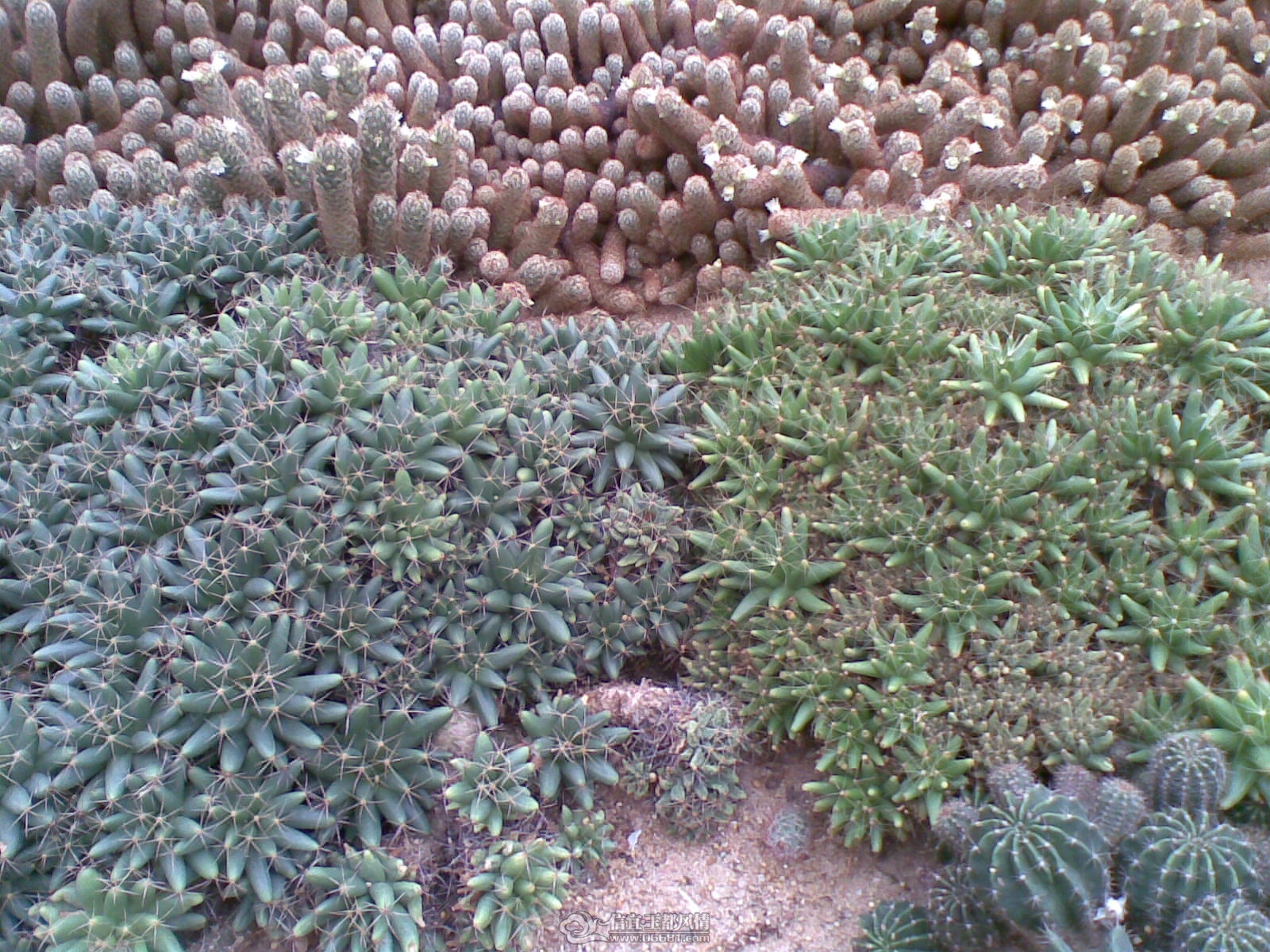 20120226(041).jpg