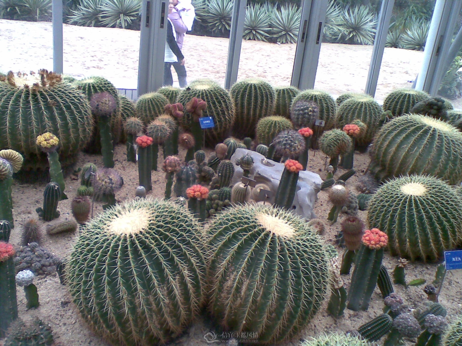 20120226(044).jpg
