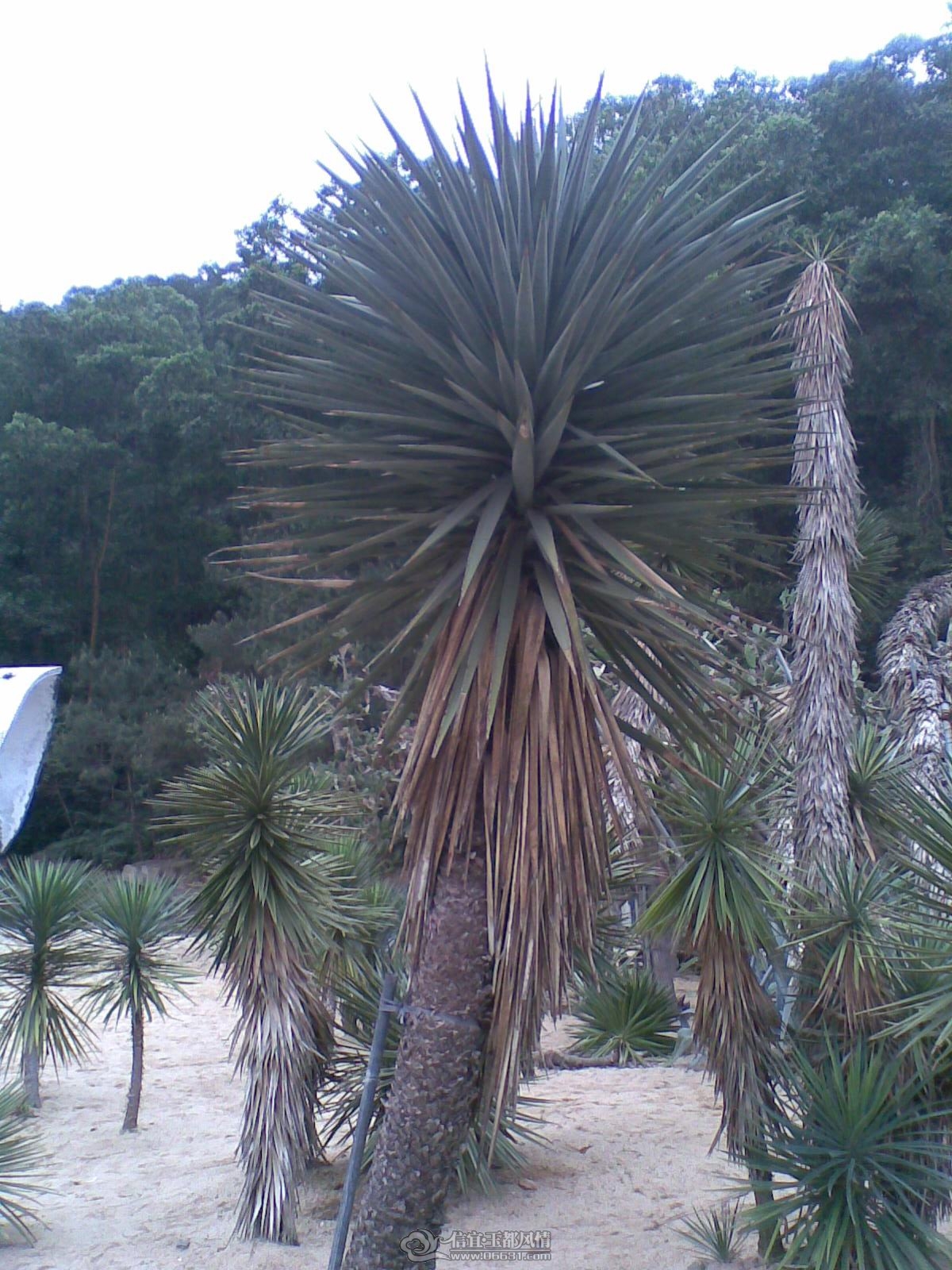 20120226(047).jpg