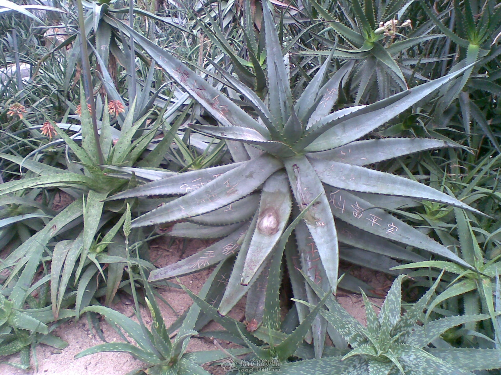 20120226(051).jpg